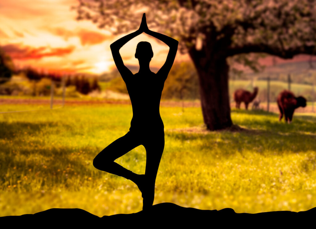 Alpaka-yoga