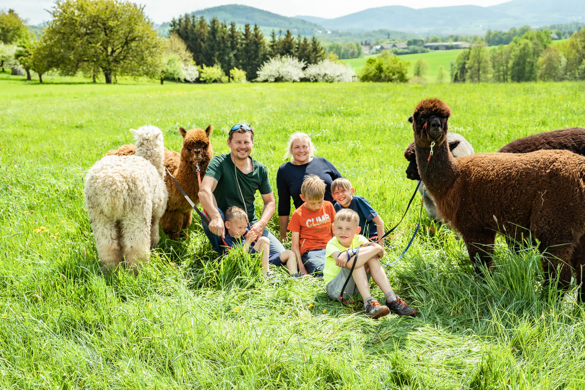 Wiesen-Picknick bei den Alpakas